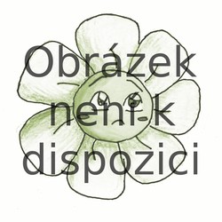 DIAGLOTIN