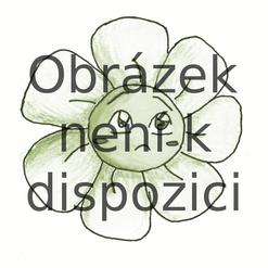 DIAGLOTIN
